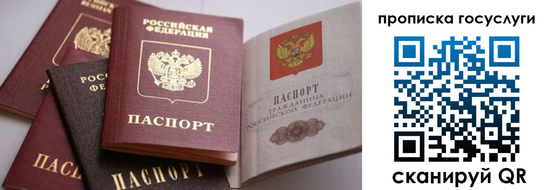 прописка иностранных граждан в Людиново